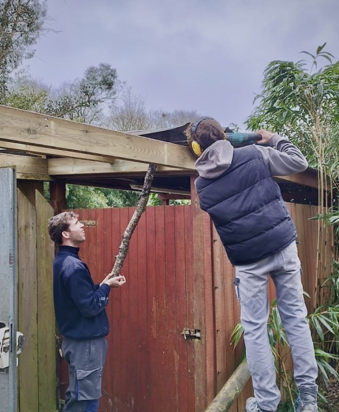 Apprenti.e.s IMTB, un chantier dans un parc animalier